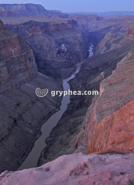 Grand Canyon NR - gryphea.org